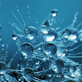 prirodni-nauki_280x280_crop_478b24840a