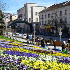 uceni_280x280_crop_478b24840a