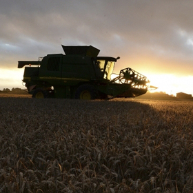 agro_280x280_crop_478b24840a