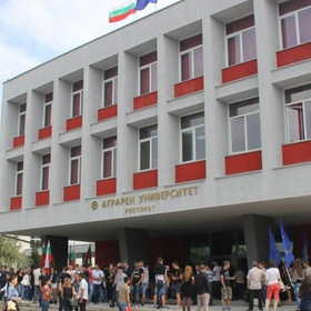 au-trafficnews-bg_280x280_crop_478b24840a