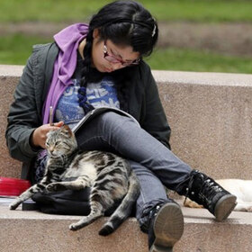 raste-broqt_280x280_crop_478b24840a