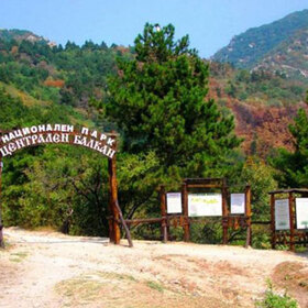 unesco-izbra_280x280_crop_478b24840a