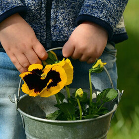 obshtinata-s-burza-pista_280x280_crop_478b24840a