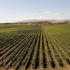 lozia-agri-bg_280x280_crop_478b24840a