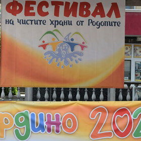 festival_280x280_crop_478b24840a