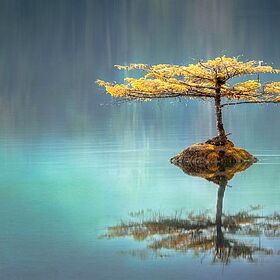 66_280x280_crop_478b24840a