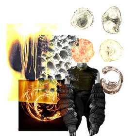 flameboyant_280x280_crop_478b24840a