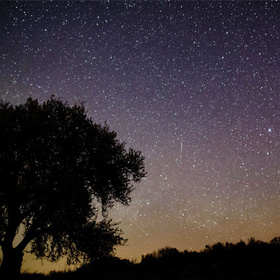 voenni_280x280_crop_478b24840a