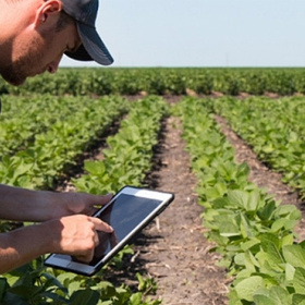 040-zemedelie-agri-bg-678x410-crop-478b24840a_280x280_crop_478b24840a
