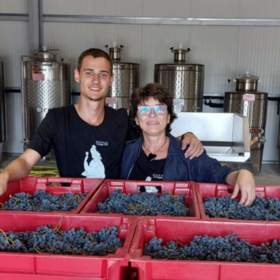 wine_280x280_crop_478b24840a