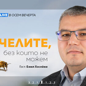 emil-hoseini-sp-8_280x280_crop_478b24840a