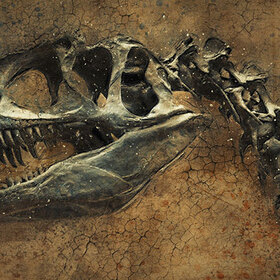 dinosaur-pixabay_280x280_crop_478b24840a