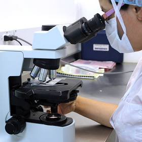 scientist-pixabay_280x280_crop_478b24840a