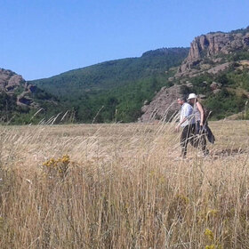 ch-8-8_280x280_crop_478b24840a