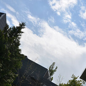 doctorska-zshtita_280x280_crop_478b24840a