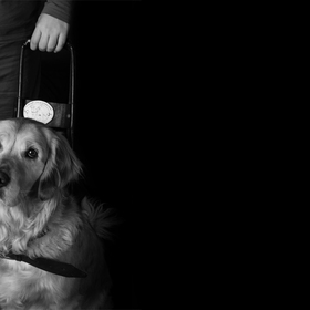 kuche_280x280_crop_478b24840a