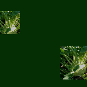 ze_280x280_crop_478b24840a