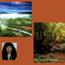 trizova_280x280_crop_478b24840a