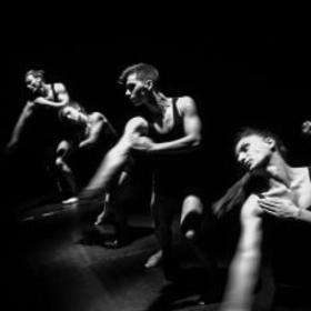 20-stypki-sn_280x280_crop_478b24840a