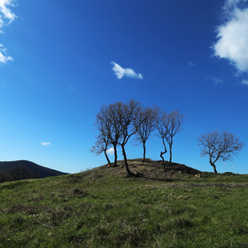 archeology3_280x280_crop_478b24840a