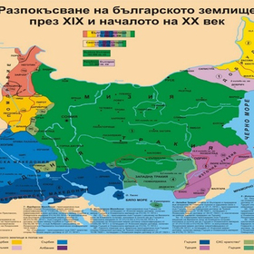 niojski-dog_280x280_crop_478b24840a