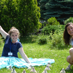 library-11-07_280x280_crop_478b24840a