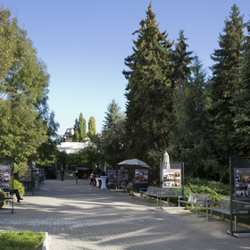 dsc-0070_280x280_crop_478b24840a