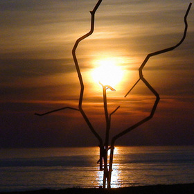 dsc00420web_280x280_crop_478b24840a