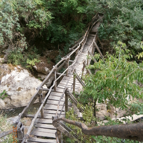 zt-jan-2017_280x280_crop_478b24840a