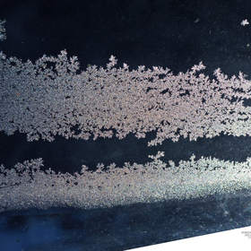 mariya-adrianova-veleva-photography-competition1jpg_280x280_crop_478b24840a