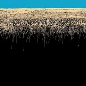 starchev_280x280_crop_478b24840a