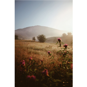 peizaj-11_280x280_crop_478b24840a