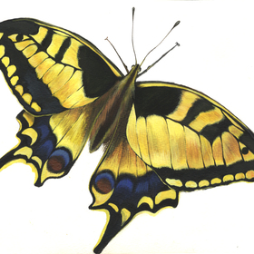 2_280x280_crop_478b24840a