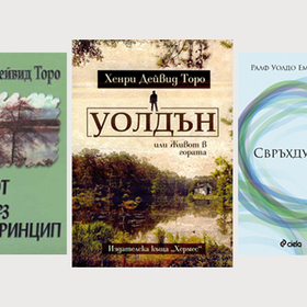 za-info-21-12_280x280_crop_478b24840a