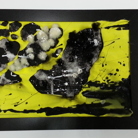 e1_280x280_crop_478b24840a