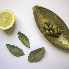 olive_280x280_crop_478b24840a