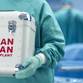 transplant4-1170x520_280x280_crop_478b24840a