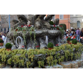 sagra-vino-2_280x280_crop_478b24840a