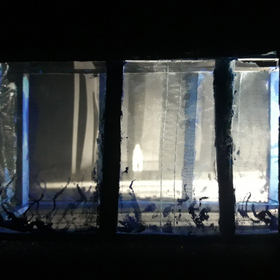 dqkova02_280x280_crop_478b24840a