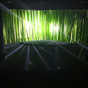 untitled-1_280x280_crop_478b24840a