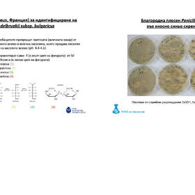 hranite_280x280_crop_478b24840a