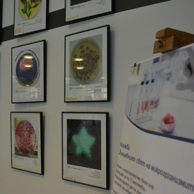 dsc-0312_280x280_crop_478b24840a