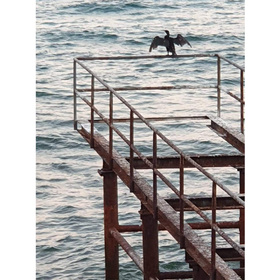 vv_280x280_crop_478b24840a