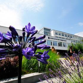 1899019_280x280_crop_478b24840a