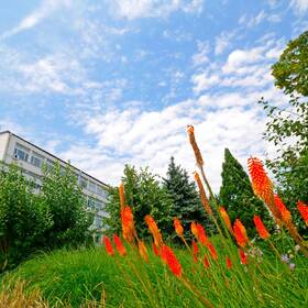 1888821_280x280_crop_478b24840a