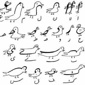 nastaliq-ducks_280x280_crop_478b24840a