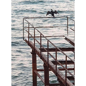 edna-snimka_280x280_crop_478b24840a