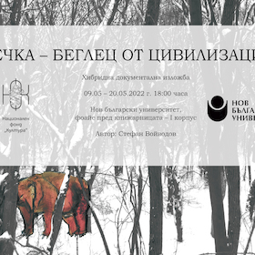 bear_280x280_crop_478b24840a