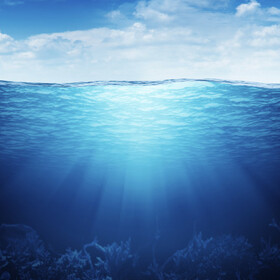 768x432_280x280_crop_478b24840a