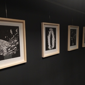 img-20230317-160845_280x280_crop_478b24840a